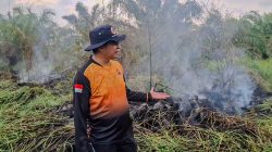 Dalam Sehari