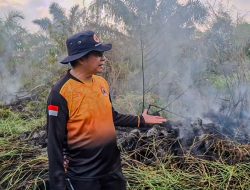 Dalam Sehari 10 Kejadian Kebakaran Hanguskan Lahan 11,45 Hektare