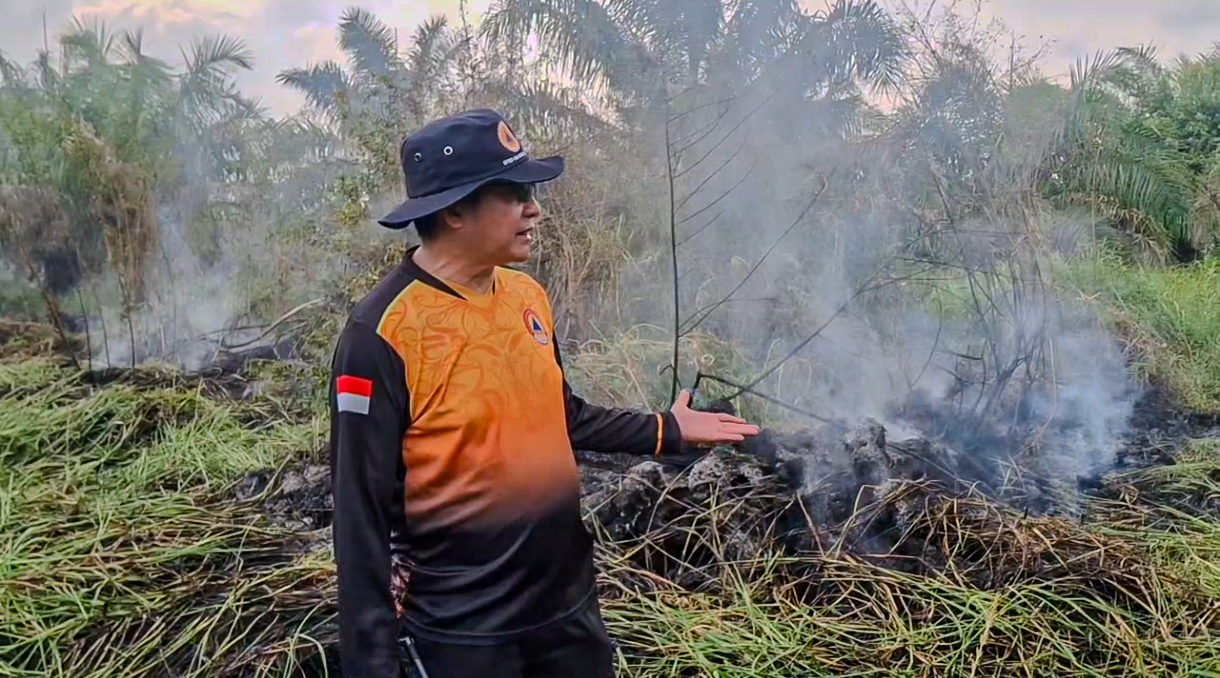Dalam Sehari