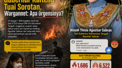 ultah
