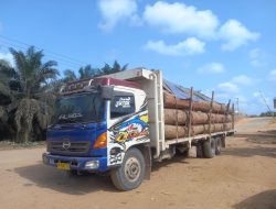 Bupati Tekankan Tidak Ada Lagi Praktek Ilegal Logging di Lamandau