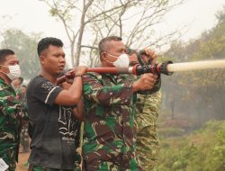 Karhutla Kepung Km 21 Palangka Raya, Kasdam XXII/TB Turun Pantau Penanganan