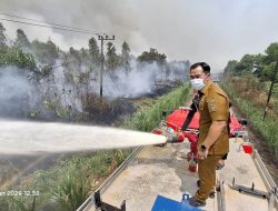 Luasan Area Terbakar di Pulpis Capai 616,46 Hektare