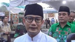 Wali Kota