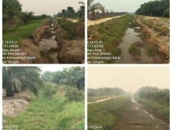 Irigasi Kering, Karhutla Sulit Dihadapi, Gubernur Didesak Turun Tangan, Petani: Saat Api Datang, Air Tak Ada!
