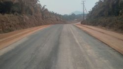 Bupati Lamandau